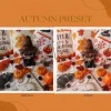Blog photographie preset autumn